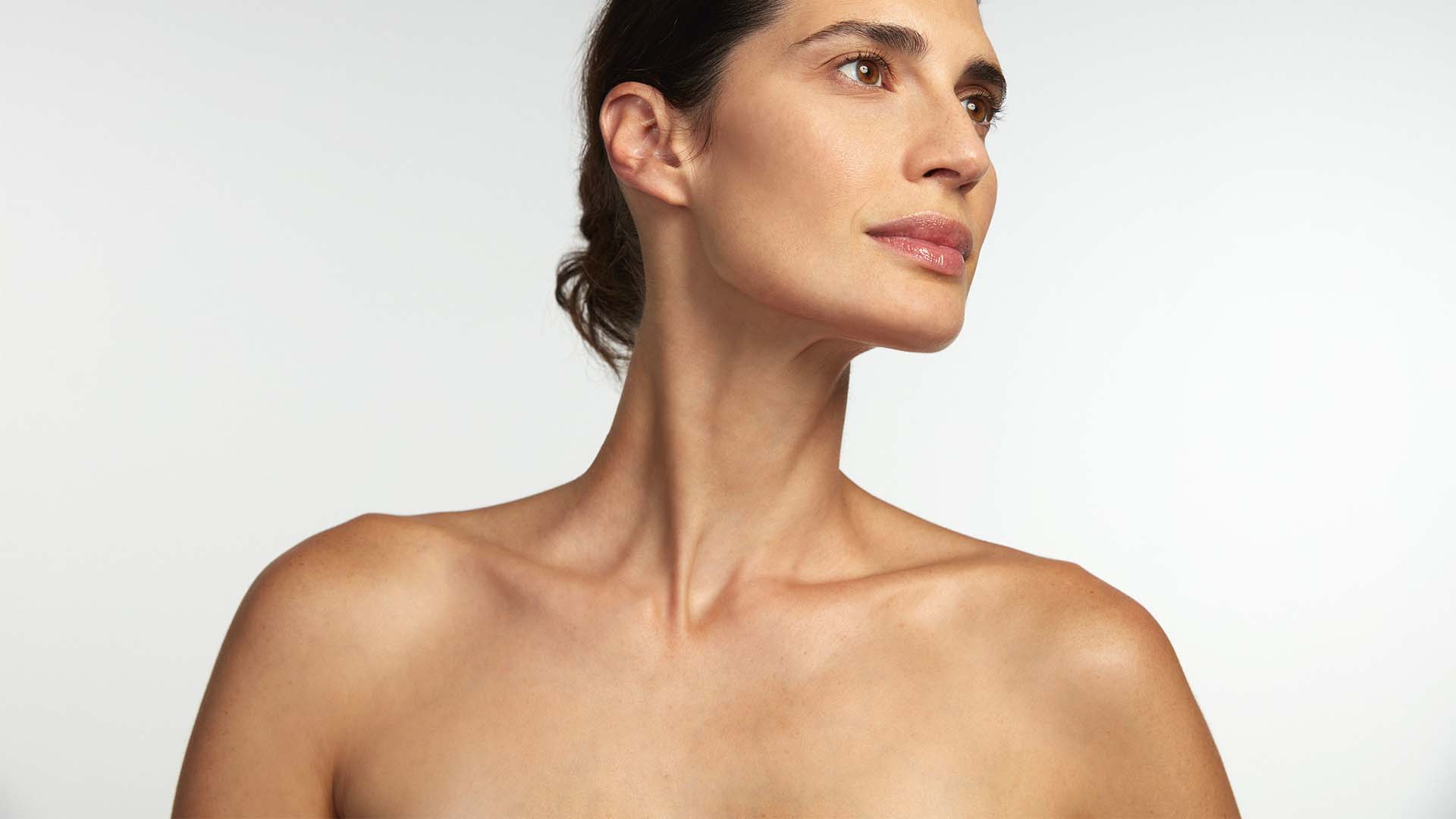 THE NECK AND NECKLINE